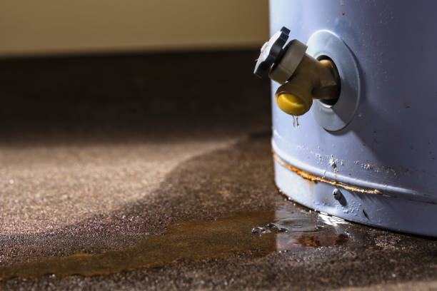 Best Carpet water damage restoration  in Drexel, OH