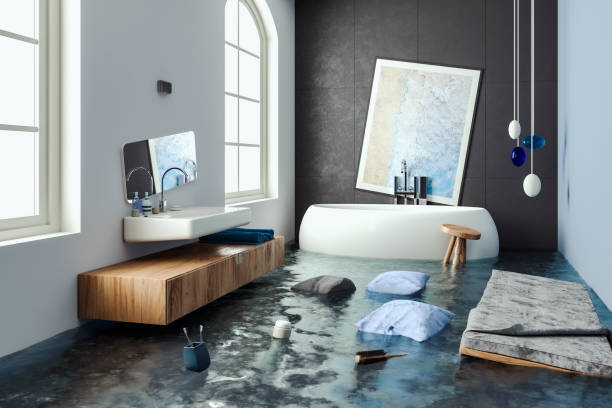 Best Professional water damage repair  in Drexel, OH