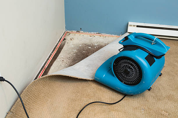 Best Residential water damage restoration  in Drexel, OH